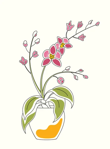 Illustration d'aquarelle d'art de ligne d'orchidée en pot avec des fleurs et des fleurs — Image vectorielle