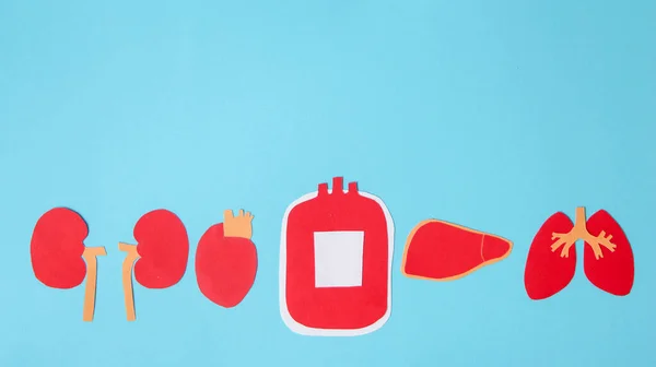kidney,heart, blood bag, liver, and lung shape made from paper on blue background with copy space, blood and organ donation and transplant concept.