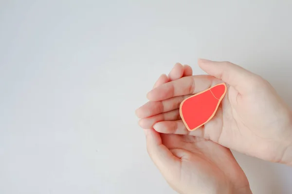 Hand Holding Liver Shape Made Paper White Background Copy Space — Stock Photo, Image