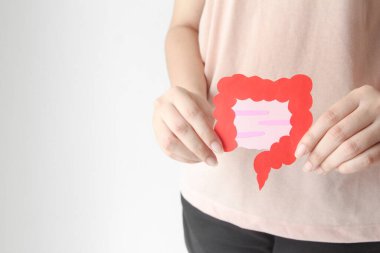 El ele tutuşan bağırsak şekli, sağlıklı bağırsak sindirimi, kolon, mide kanseri konsepti.