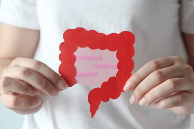 El ele tutuşan bağırsak şekli, sağlıklı bağırsak sindirimi, kolon, mide kanseri konsepti.