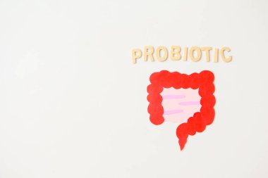 Probiyotik kelime ahşap, bağırsak şekilli kağıt, çeşitli besin maddeleri. Sağlıklı sindirim konsepti, mikrobiyotikler ve mikrobiyotik için prebiyotikler. Üst görünüm
