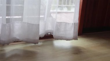 Penceredeki şeffaf perde, rüzgarın hafifçe hareket ettirdiği....