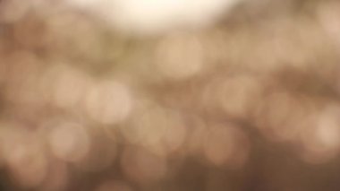 Abstract blur background of neture gold color.