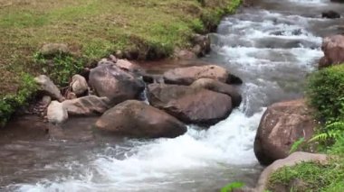 Manzara dağ şelalesi yağmur ormanlarında kayaların üzerinden akıyor.