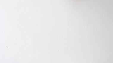 hand holding lung shape made from paper on white background with copy space, world kidney day, transplant concept.