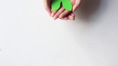 Beyaz arka planda kağıt yeşili ciğer tutan kadın elleri, eko hava kirliliği ve organ bağışı kavramı.