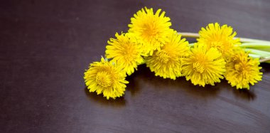 Summer background with yellow dandelions . dandelions on a aged wooden background.Dandelions on wood with copy space