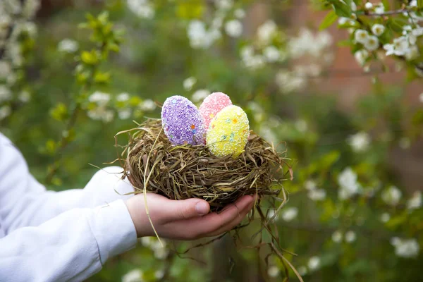 Child Hands Hold Beautiful Nest Grass Pussy Willow Branches Decorated — Foto Stock