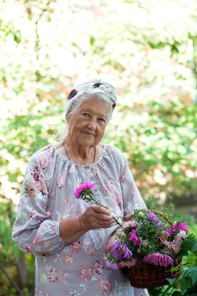 Старший Женщина Садоводства Инструмент Работающих Дворе Сад Лицензионные Стоковые Изображения