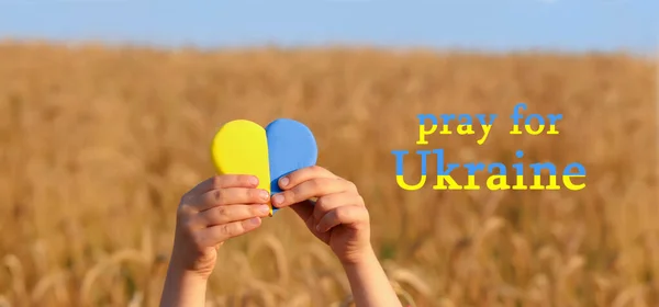 Желтое Синее Сердце Руках Ребенка Пшеничное Поле Закате Молитесь Украину — стоковое фото