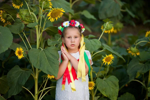 Liten Ukrainsk Flicka Krans Bland Solrosor Vikta Händerna Bön Med — Stockfoto
