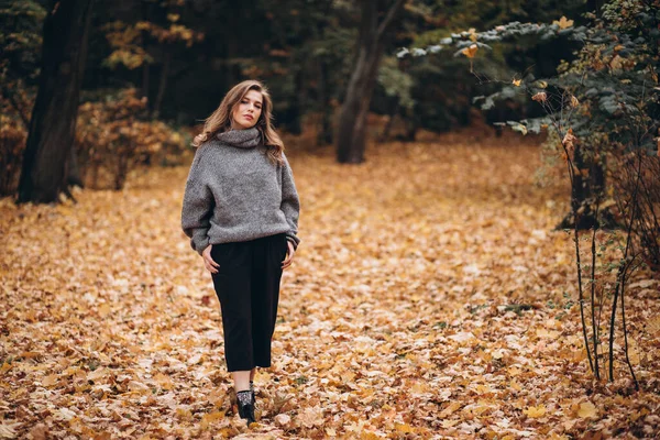 Parkta sonbaharda uzun saçlı güzel bir sarışın kız yürüyor. Sonbahar portresi