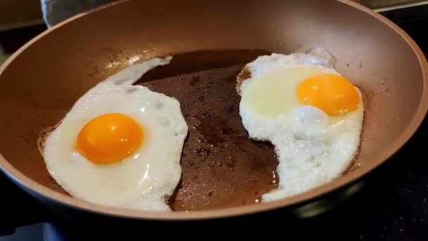 View Eggs Being Made Frying Pan — Stockvideo