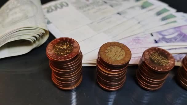 Vista Las Monedas Checas Apiladas Una Columna Segundo Plano Billetes — Vídeo de stock