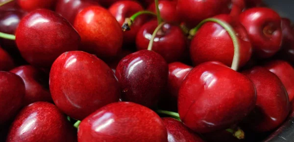 Vista Detallada Las Cerezas Cerezo Bayas Orgánicas Frescas Fondo Fruta — Foto de Stock