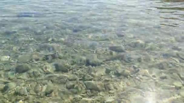 Вид Торчащих Воды Камней Пляже Беритника Хорватском Острове Паг Медленное — стоковое видео