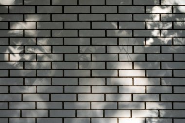Açık havada beyaz tuğla duvar ve yaz günü koyu yaprak gölgeleri. Gri arka plan. Boşluğu kopyala
