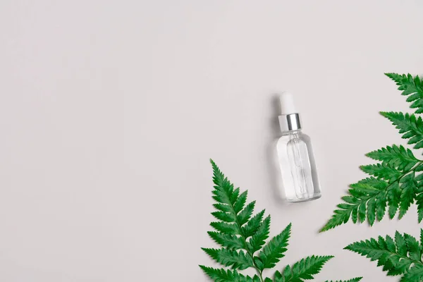 Serum wajah dengan asam hialuronat dalam botol kaca transparan dengan pipet pada latar belakang abu-abu muda dengan daun pakis hijau. Produk kosmetik alami untuk merek. Tutup botol serum itu. Salin ruang Stok Gambar