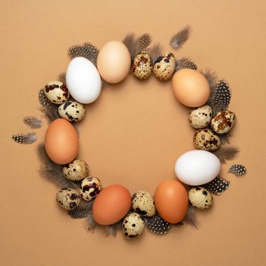 Paskalya kompozisyonu. Bej arka planda tüylü tavuk ve bıldırcın yumurtaları. Taklit alanı olan yuvarlak çerçeve. Doğal konsept. Üst görünüm, düz görünüm, kopyalama alanı