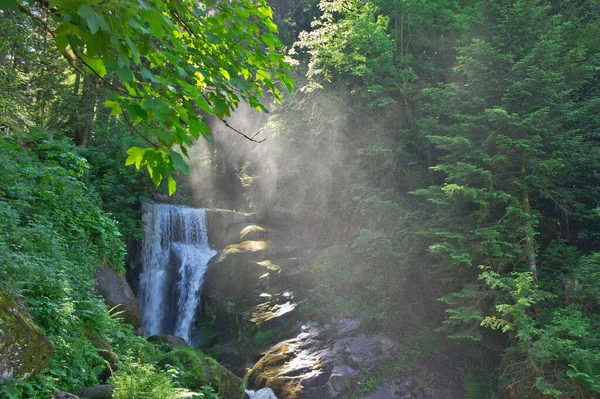 Triberg Park Waterfall Németország Európa — Stock Fotó
