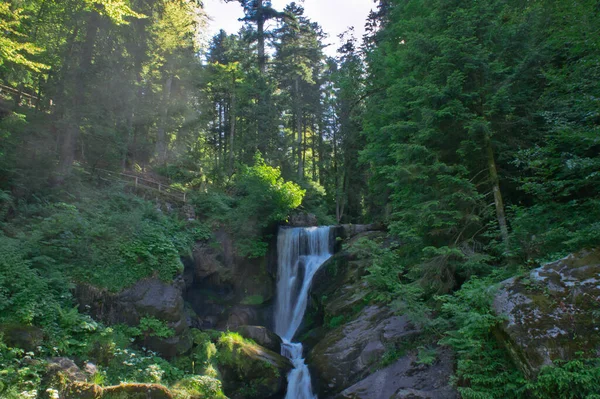Triberger Park Wasserfall Deutschland Europa — Stockfoto