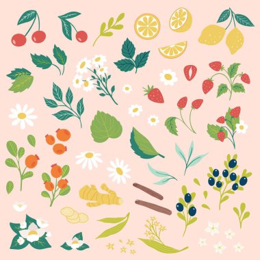 Pembe arka planda izole edilmiş meyve yaprakları. Çizgi film düz elli koleksiyonu