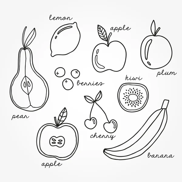 Set of different fruits contour. — Stock Vector