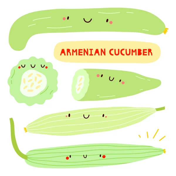 Super Cute Vector Set Different Hand Drawn Armenian Cucumber Seasonal — Stock Photo, Image