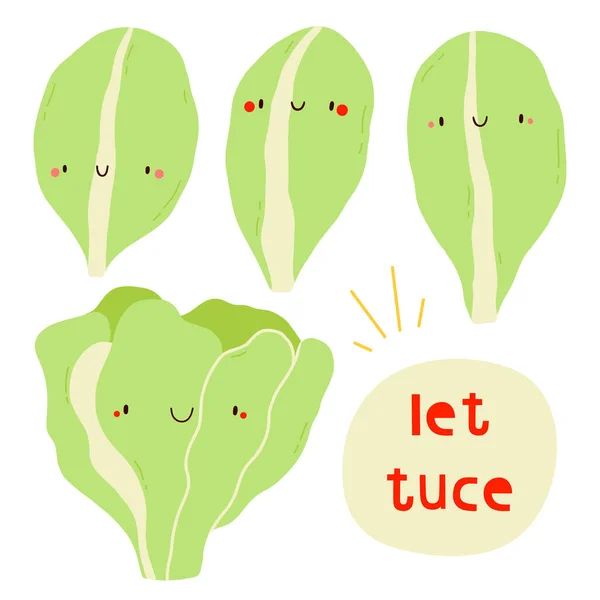 Super Cute Vector Set Different Hand Drawn Lettuce Seasonal Lettuce — Stock Photo, Image
