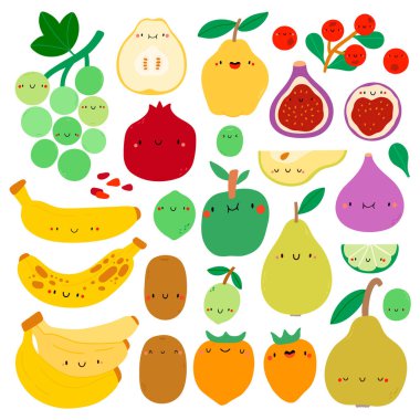 Super cute vector collection of hand drawn fruits. Seasonal fruits set. Autumn fruits characters - grape, quince, banana, kiwi, pear, fig, apple, persimmon, pomegranate, cranberries