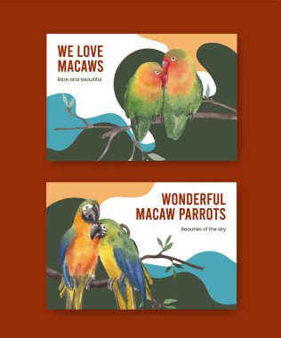 Papağan kuşu kavramlı Facebook şablonu, suluboya stil