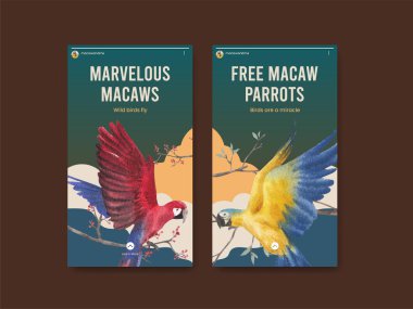 Papağan kuşu konseptiyle Instagram şablonu, suluboya stil