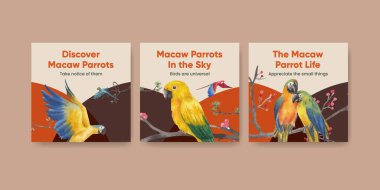 Papağan kuşu konsepti ve suluboya stil içeren pankart şablonu