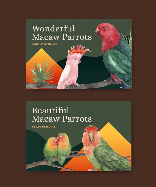 Facebook Šablona Papouškem Macaw Koncept Akvarel Styl — Stockový vektor