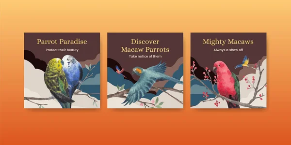 Banner Šablona Papouškem Macaw Koncept Akvarel Styl — Stockový vektor