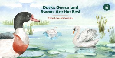 Ördek ve kuğu konseptli billboard şablonu, suluboya stil