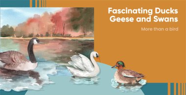 Ördek ve kuğu konseptli billboard şablonu, suluboya stil