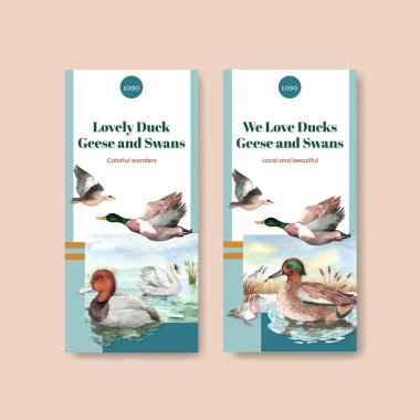 Ördek ve kuğu konseptli uçan şablon, suluboya stil