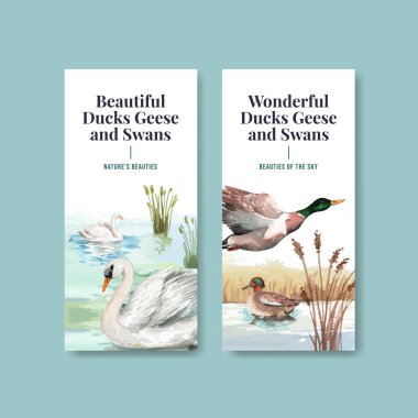 Ördek ve kuğu konseptli uçan şablon, suluboya stil