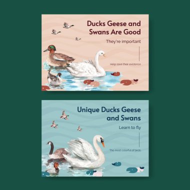 Ördek ve kuğu konseptli bir kartpostal şablonu, suluboya stil