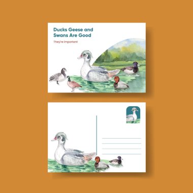 Ördek ve kuğu konseptli bir kartpostal şablonu, suluboya stil