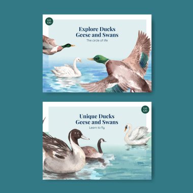 Ördek ve kuğu konseptli bir kartpostal şablonu, suluboya stil