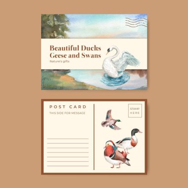 Ördek ve kuğu konseptli bir kartpostal şablonu, suluboya stil