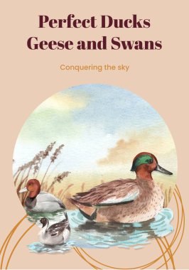 Ördek ve kuğu konseptli poster şablonu, suluboya stil