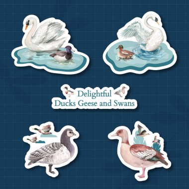 Ördek ve kuğu konseptli çıkartma şablonu, suluboya stil