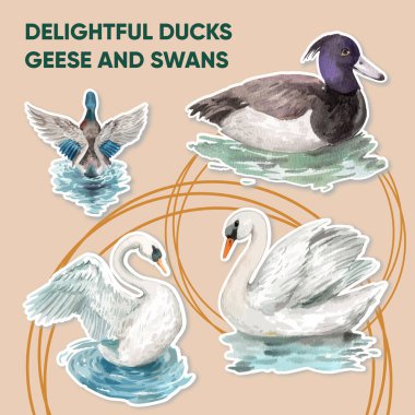 Ördek ve kuğu konseptli çıkartma şablonu, suluboya stil