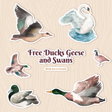 Ördek ve kuğu konseptli çıkartma şablonu, suluboya stil