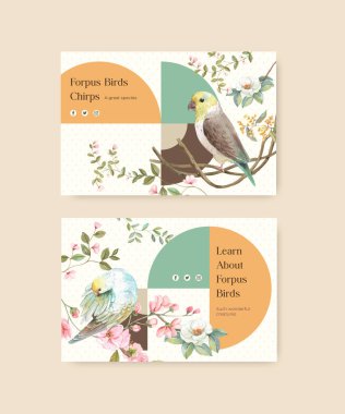 Forpus Bird konsepti ile Facebook şablonu, suluboya stil