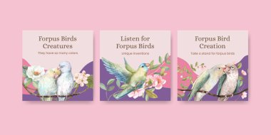 Forpus kuş konsepti ve suluboya stil içeren pankart şablonu